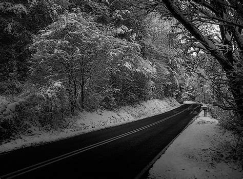 Winter On A Mountain Road In Black And White Cherokee County Nc