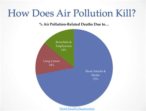 In order to understand the sources of air pollution, we need to first go through the basic causes of air pollution. Smog doesn't kill like you think it does - Smart Air Filters