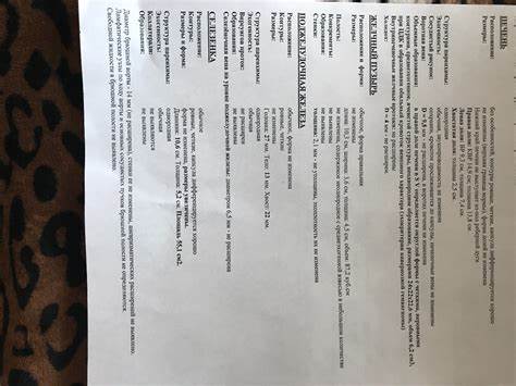 Если селезенка увеличена диета