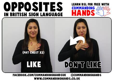 My partner is losing his hearing and we're going to be learning how to sign, but these. Like and Don't Like in British Sign Language | Flickr ...