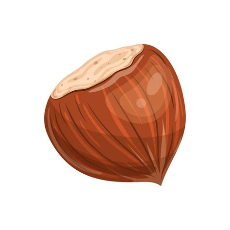 Hazelnut Brown Nut Cartoon Vector Illustration 21161279 Vector Art At