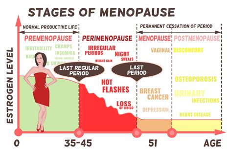 Estrogen Level Chart Menopause Beauty Wellness