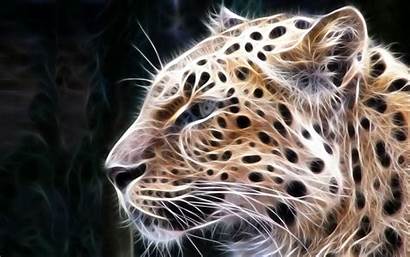 3d Leopard Wallpapers Animals Animal Cool Background