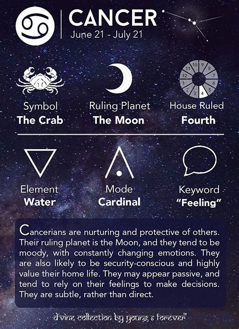 The Jewelbox Cancer 12 Constellation Zodiac Star Sign Good Luck Braided