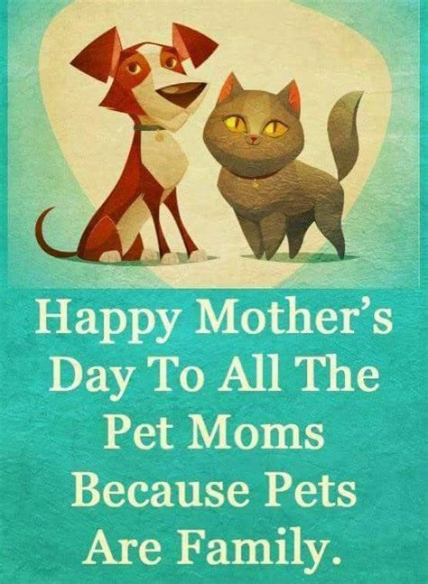 Pin By My Info On Pets Dog Mothers Day Pet Mom Happy Mother Day Quotes