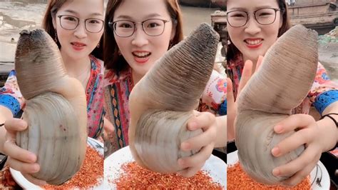 😱 chinese girl eat biggest geoducks 😆 exotic seafood mukbang seafood