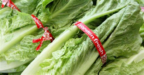 Listeria Concerns Prompt Romaine Lettuce Recalls Cbs News