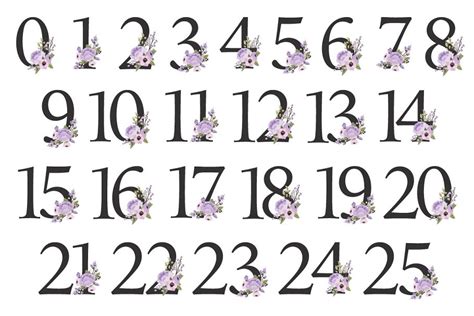 Lavender Floral Numbers Clip Art Custom Designed Illustrations