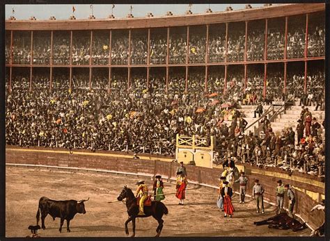 culture art history the bullfight is highly ritualized at the end of which the bull is