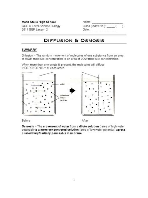 Osmosis is the process in which water moves through a membrane. GEP Worksheets_Diffusion and Osmosis Revised | Osmosis | Chemistry