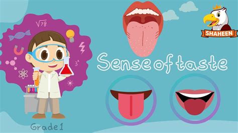 Sense Of Taste Science Grade 1 Shaheen Digikids Youtube