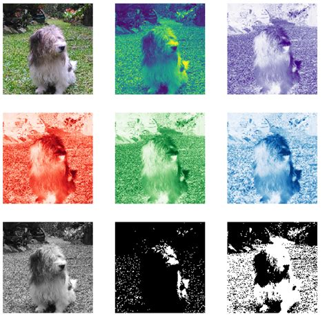 Introduction To Image Processing With Python — Image Representation For