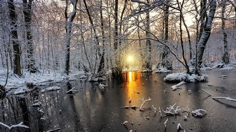 Hintergrundbilder 1920x1080 Px Kalt Wald Frost Landschaft Natur