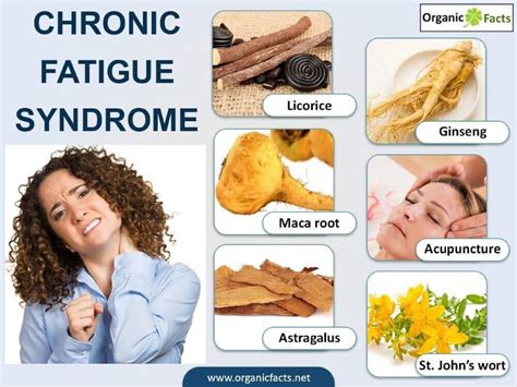 The Chronic Fatigue Syndrome Solution In Depth Review