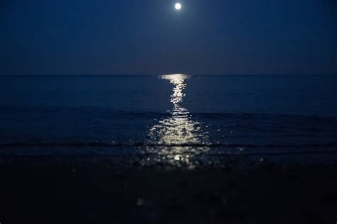 Moon Reflection On Sea Free Stock Photo Public Domain Pictures