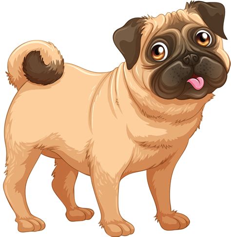 Pug Dobermann Puppy Labrador Retriever Vector Graphics Puppy Png