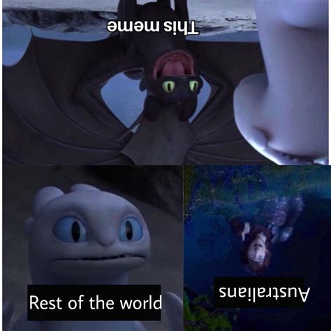Toothless How To Train Your Dragon Meme About Photo Caption This Meme