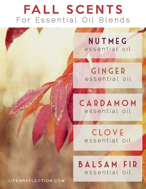 Top 5 Essential Oils For Fall Life N Reflection Fall Essential Oil Blends Fall Essential
