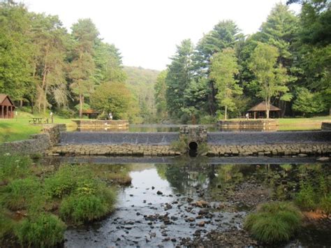 Located near the beautiful cook forest state park, these cabins offer spacious rooms and lots of amenities. Allegheny National Forest (Pennsylvania) - Aktuelle 2019 ...