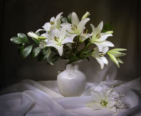 846023 Lilies Vase White Rare Gallery HD Wallpapers