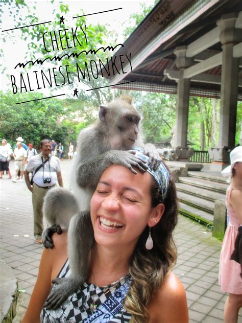 A Short Video On How To Make Friends In Bali 🐒😁🍌 Monkey Forest Ubud