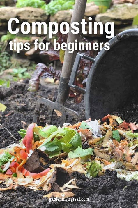 5 Composting Tips For Beginners Gardening Is Great