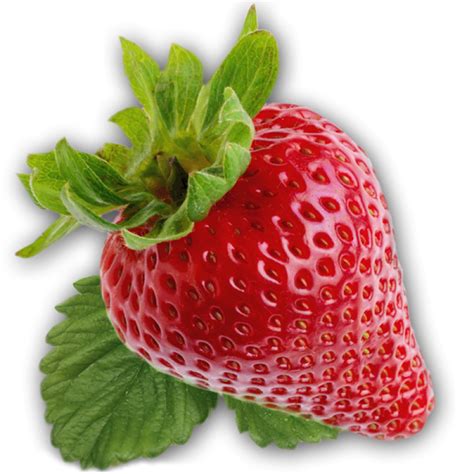Strawberry Png Image Purepng Free Transparent Cc0 Png Image Library