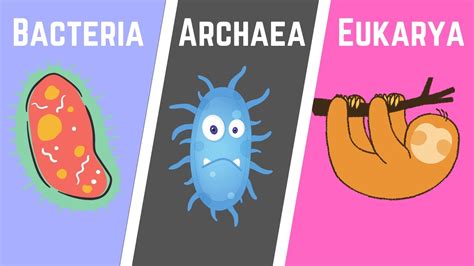 The Three Domains Of Life Bacteria Archaea Eukarya Youtube