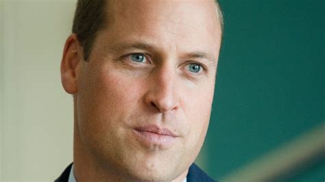 Princess Diana Bbc Panorama Interview Prince William Says