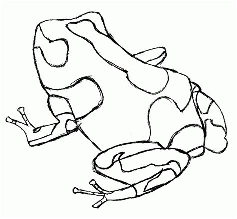 Poison Dart Frog Coloring Page Coloring Home