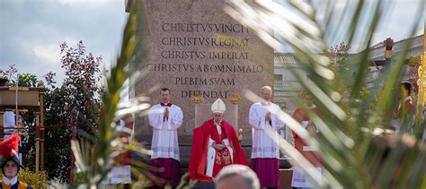 Embrace The Cross Pope Says On Palm Sunday Arlington Catholic Herald