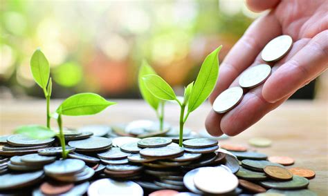Shift Invest Sees Impact Of Green Investments Growing In 2020 Agro