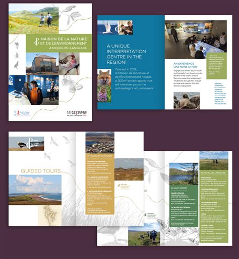 Création Graphique Dune Brochure Touristique Présentant Les éco