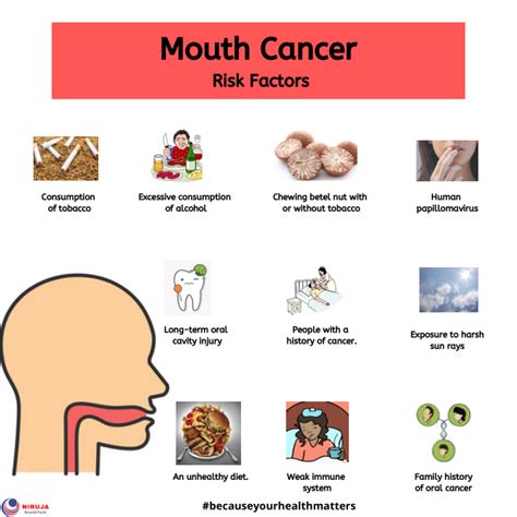 Mouth Cancer Risk Factors Infographics
