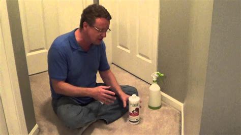 The cleaning process follows many of the same steps as diy. How to Clean Cat Urine - Removing Cat Urine from Carpet ...