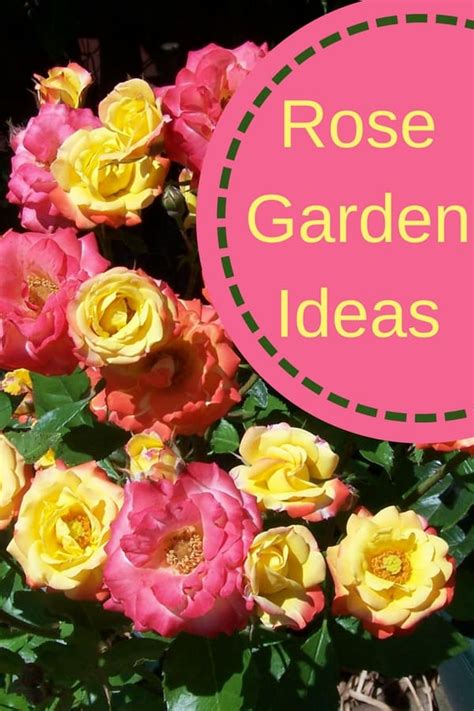 Therefore, keeping it beautiful and organized will be your ultimate goal. Front Yard Rose Garden