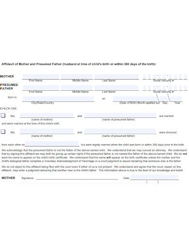 Paternity Affidavit Form Fill Out And Sign Printable Pdf Template