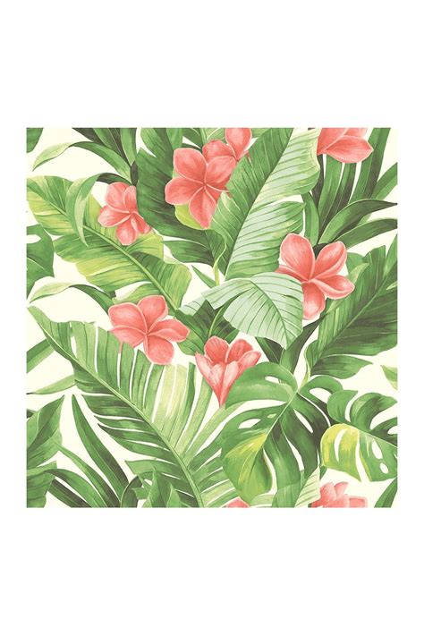 Tropical Paradise Peel And Stick Wallpaper By Brewster Home Fashions On