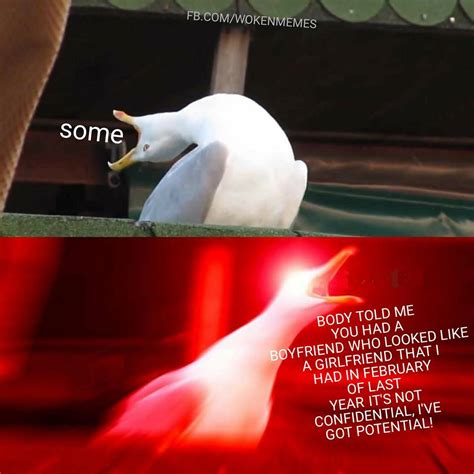 Somebody Told Me The Killers Inhaling Seagull Know Your Meme