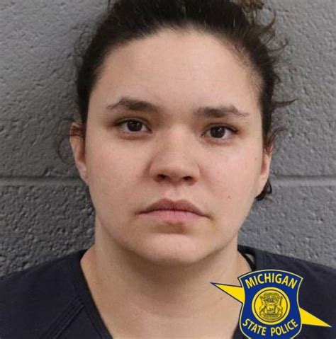 Michigan Woman 26 Charged With Sexually Abusing Young Girl