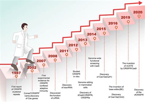 Development History Of The Crisprcas9 Based Gene Editing Tools The