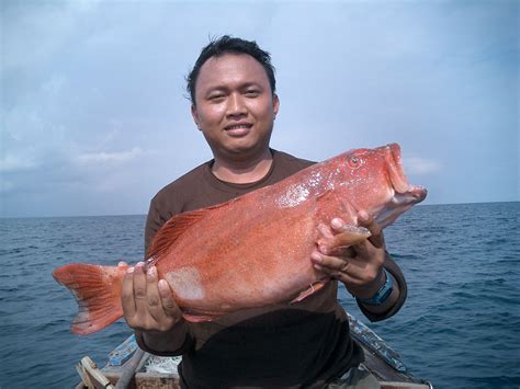 Misteribunian #batuputih #faizalrozivlogs kali ini vlog ke parit sulong batu pahat untuk melihat sendiri keadaan dan kawasan. BatamFish: Batu Putih Fishing Trip - Lagoi, Bintan island