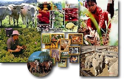 Historia De La Agricultura Colombiana Timeline Timetoast Timelines