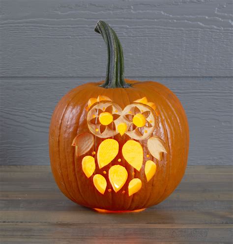 Halloween Owl Pumpkin Stencil Pumpkin Carving Cute Pumpkin Carving
