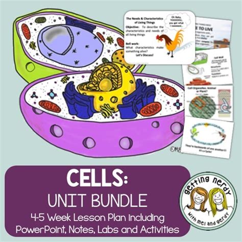 Cells Organelles And Processes Powerpoint And Handouts Unit Distance