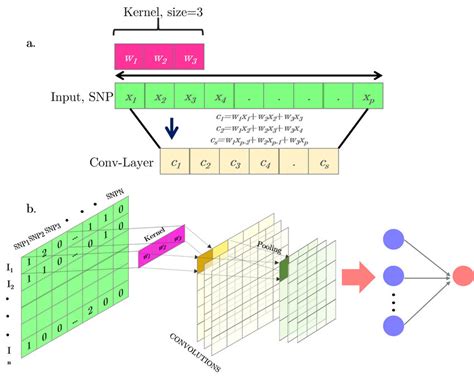The Structure Of One Dimensional Convolution Neural Network Schematic Convolutional Cnn Vrogue