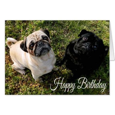 Happy Birthday Pug Puppy Dog Greeting Card Happy