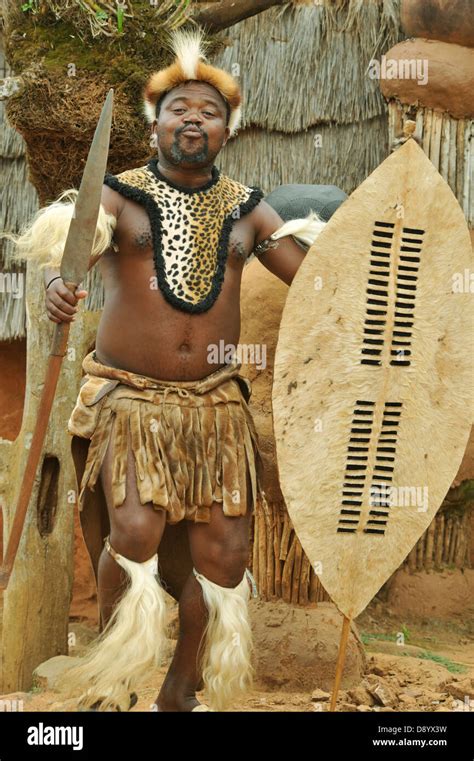 Zulu Warrior In Ceremonial Dress With Shield And Spear Performing War