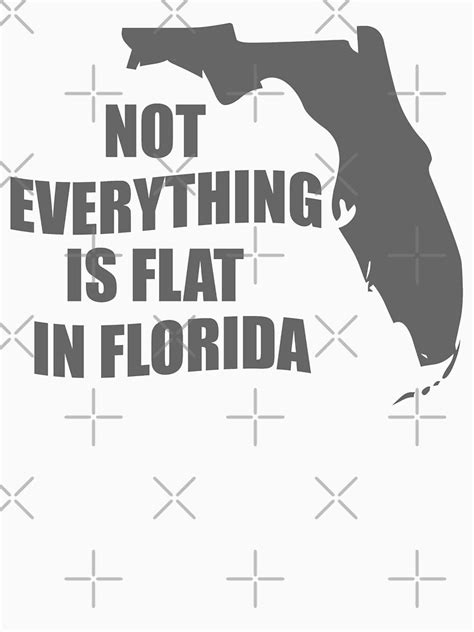 not everything is flat in florida t shirt by goodtogotees redbubble