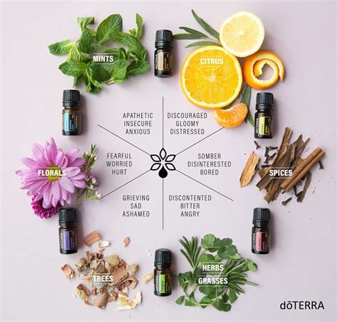 Doterra Console Comforting Blend Aroma Welt